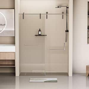 Moray 48 in. W x 76 in. H Frameless Stainless Steel Single Sliding Shower Door in Chrome 5/16 in. Tempered Clear Glass