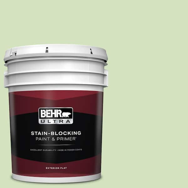 BEHR ULTRA 5 gal. #P380-3 Irish Folklore Flat Exterior Paint & Primer