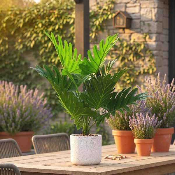 MOVECOM 1.5FT 2Pcs Philodendron Fake Plants in White Potted, Faux Green  Bonsai Tree with Realistic Leaves PHK_36FKP76V_LHD - The Home Depot