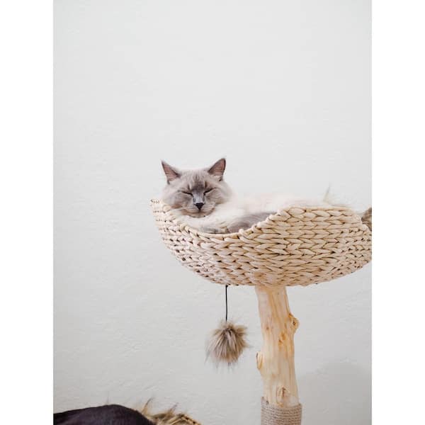 106 in cat outlet tree