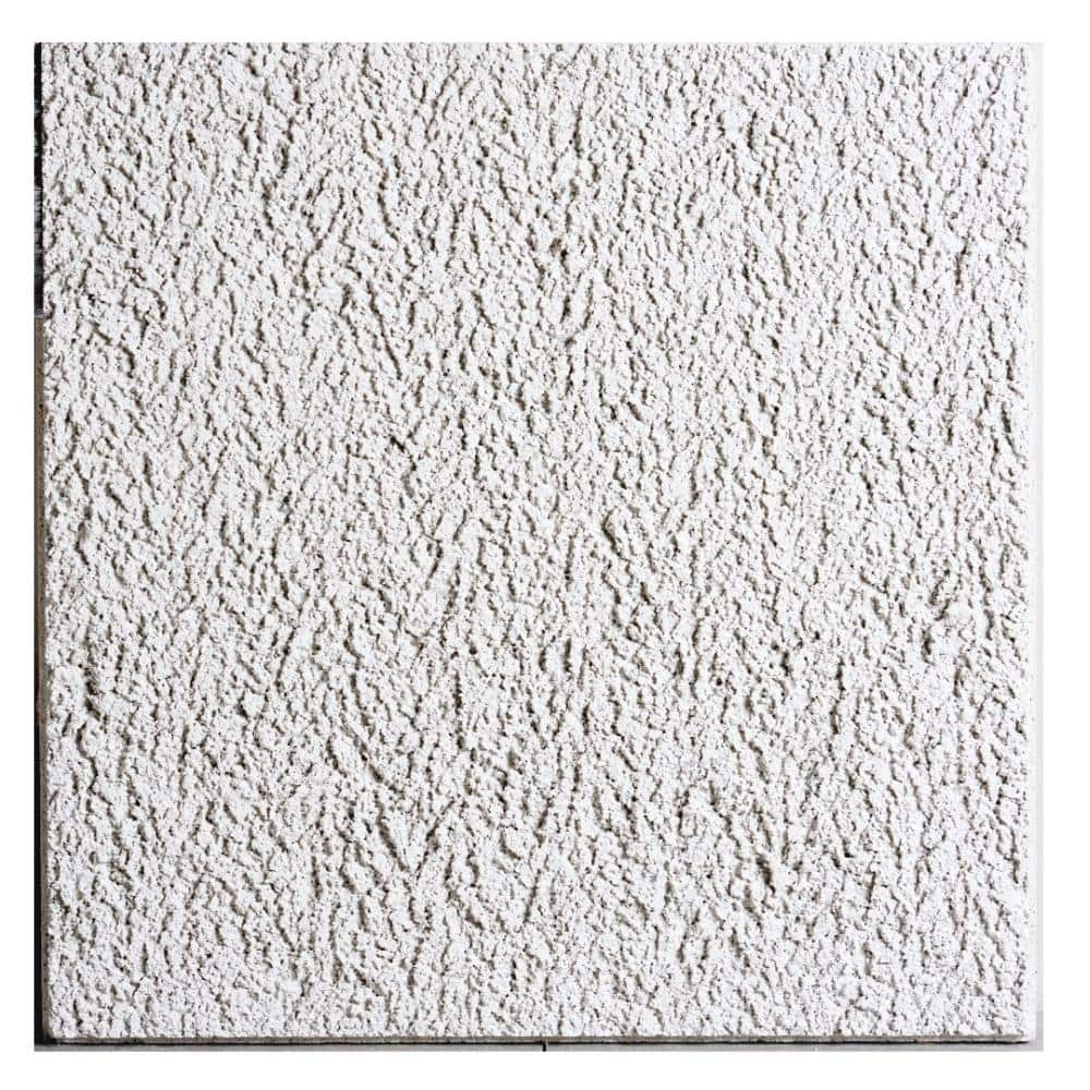 USG Ceilings 2 ft. x 2 ft. Glacier White Shadowline Edge Lay-In Ceiling ...