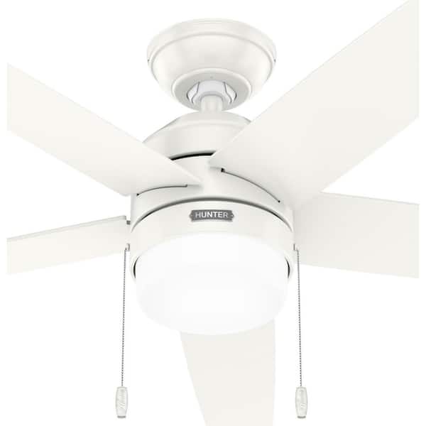 Hunter Bardot 52 in. Indoor Fresh White Ceiling Fan with