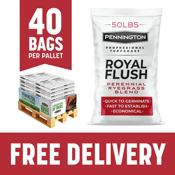 Royal Flush Overseeding Perennial Ryegrass Blend 50 lbs. 5,000 sq. ft. Grass Seed Pallet (40-Bags)