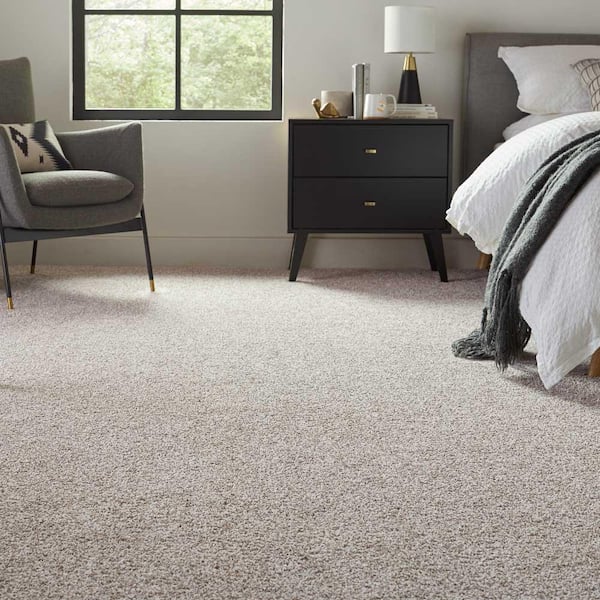 https://images.thdstatic.com/productImages/02cb8f6a-e7e9-4c02-8c79-3a358f46456e/svn/white-wash-lifeproof-with-petproof-technology-texture-carpet-0777d-21-12-a0_600.jpg