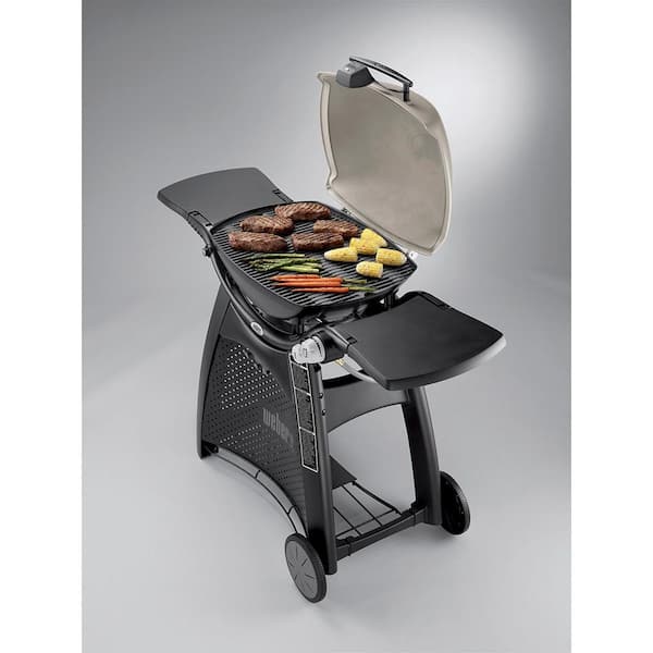 gå dvs. selvbiografi Weber Q 3200 2-Burner Natural Gas Grill in Titanium with Built-In  Thermometer 57067001 - The Home Depot