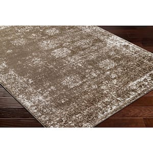 Monte Carlo Brown Ombre 8 ft. x 10 ft. Indoor Area Rug