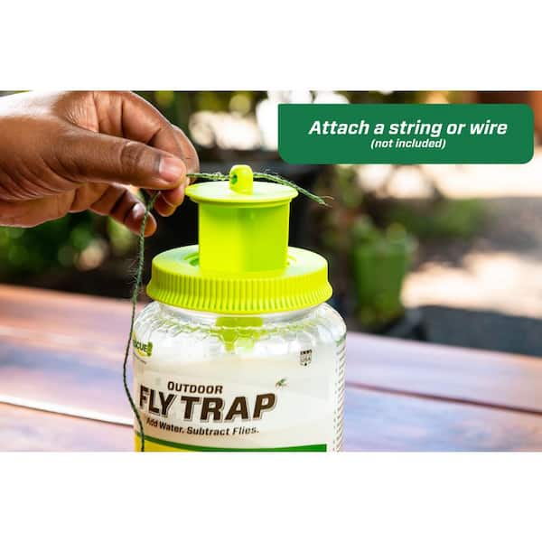 https://images.thdstatic.com/productImages/02d428a3-ebc8-4183-89b7-d5319291e2eb/svn/clear-rescue-insect-traps-ftr2-76_600.jpg