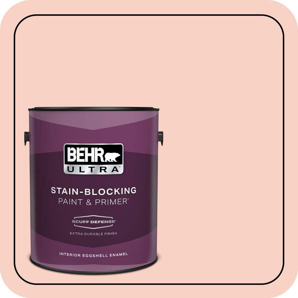 1 gal. #210C-2 Demure Pink Extra Durable Eggshell Enamel Interior Paint & Primer price history on PriceWatchPro