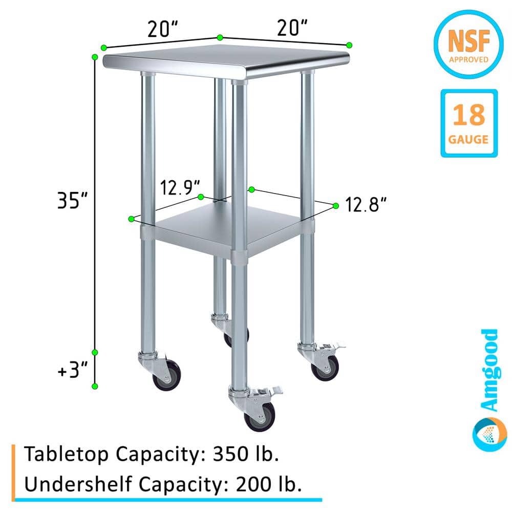 20" Stainless Steel Work Table with Galvanized Undershelf and Casters