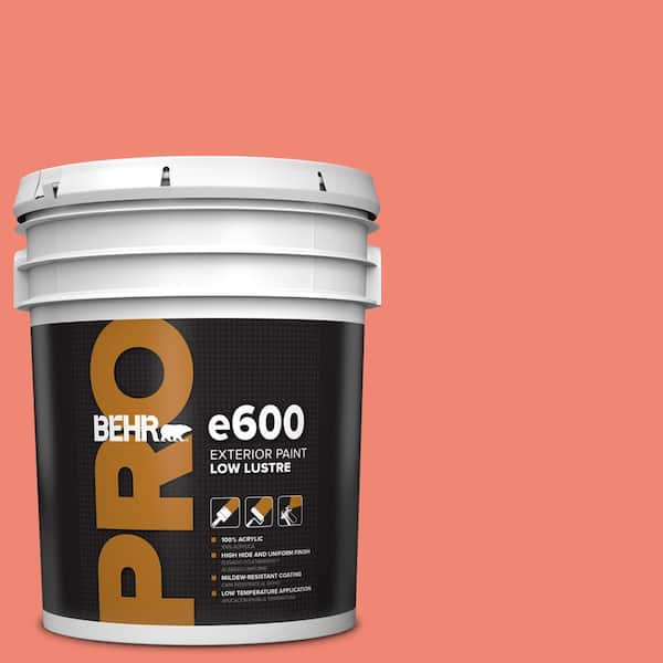 BEHR PRO 5 gal. #T16-07 Coralette Low Luster Exterior Paint