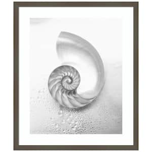"Pearl Nautilus Shell Cut In Half" 1-Piece Wood Framed Black and White Nature Photography Wall Art 25 in. x 21 in.