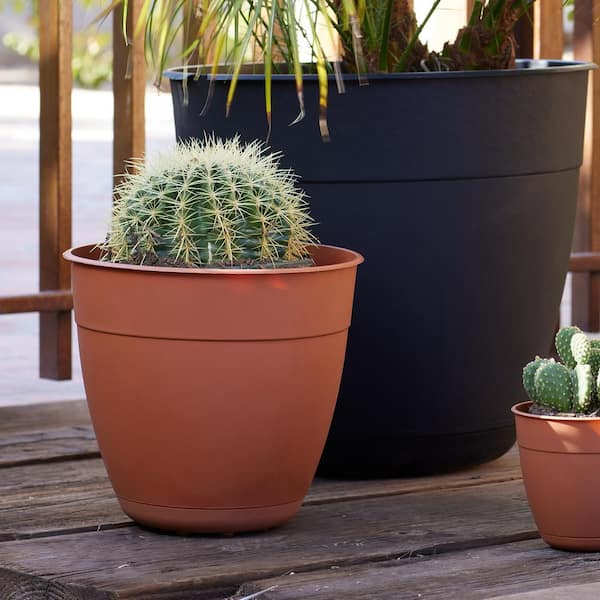 Dayton 16 in. Terra Cotta Plastic Round Indoor/Outdoor Planter with Saucer