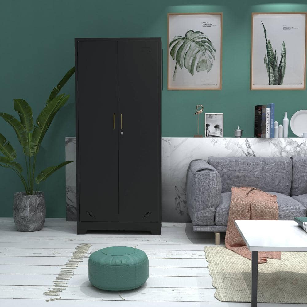 Black storage cabinet in a room with green accent wall and plants.