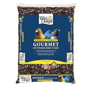 KAYTEE 15 lbs. Cardinal Black Oil Sunflower Seed Wild Bird Seed Food ...