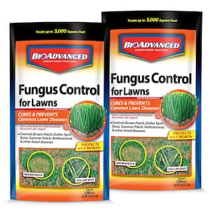 10 lbs. Granules Fungus Control for Lawns (2-Pack)
