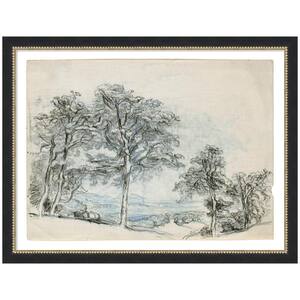 Belmont Sketches Maples Samuel Colman by The Smithsonian American Art Museum Trees Framed Art Print 20 in. x 26 in.