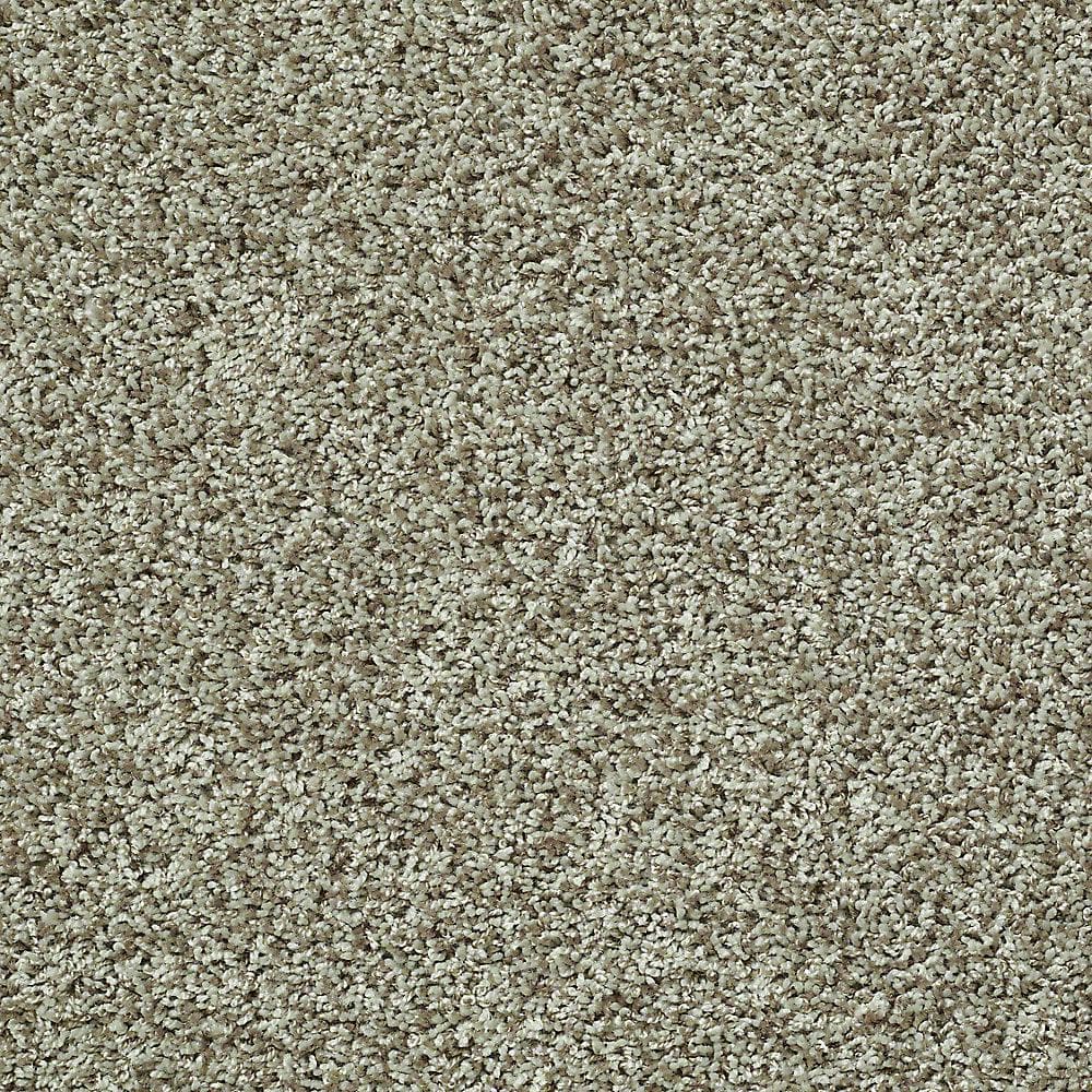 8 in. x 8 in. Twist Carpet Sample - Charming - Color Salad price history on PriceWatchPro
