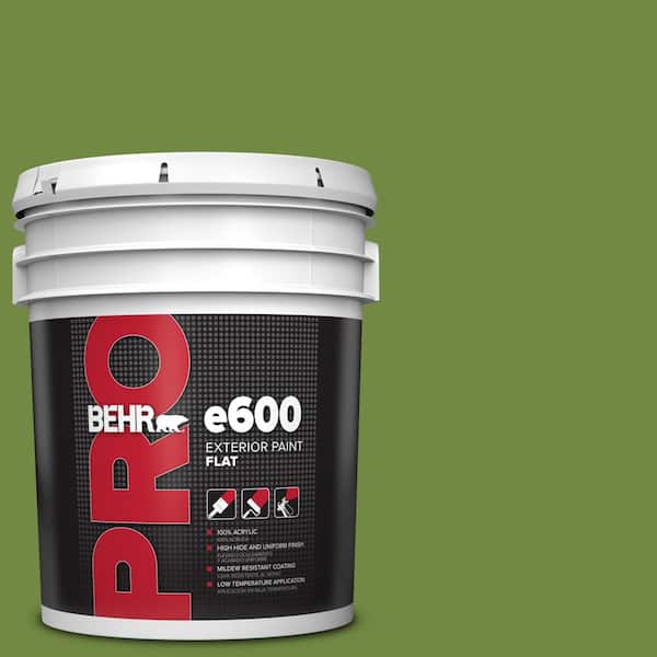 BEHR PRO 5 gal. #MQ4-44 Green Dynasty Flat Exterior Paint