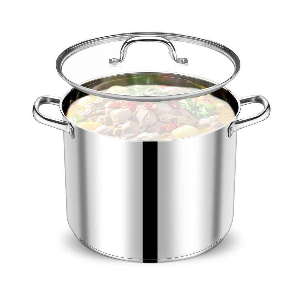 20 QT Stock Pot with Lid, Stainless Steel Large Cooking Pot, Tri