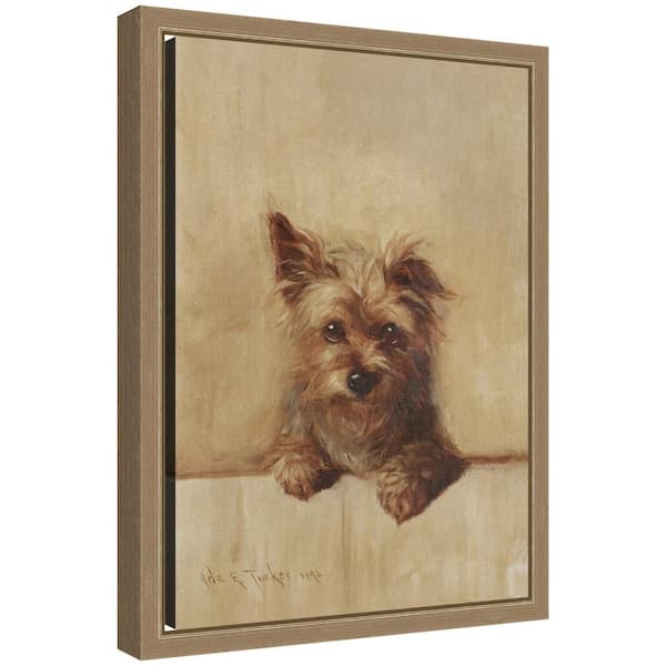 Sylvie "A Yorkshire Terrier Puppy Dog" by Nostalgia Prints Animals Framed Canvas Art Print 13 in. x 10 in.
