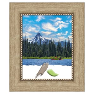 Astor Champagne Picture Frame Opening Size 11 x 14 in.