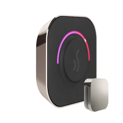 TempoTouch Steam Shower Control and Steamhead in Polished Nickel