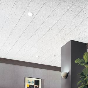 Fine Fissured 1 ft. x 1 ft. Beveled Tongue and Groove Ceiling Tile (40 sq. ft./case)