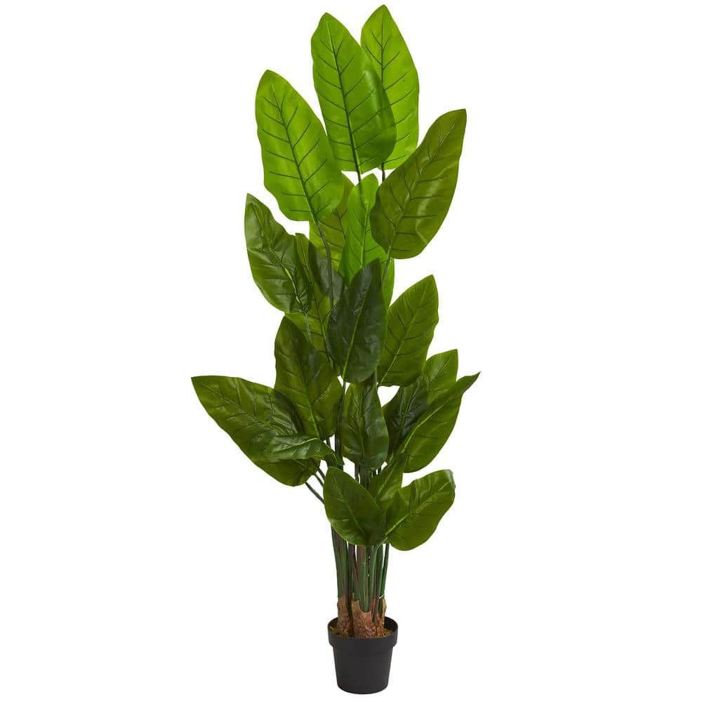 Indoor 6 ft. Canna Artificial Tree price history on PriceWatchPro