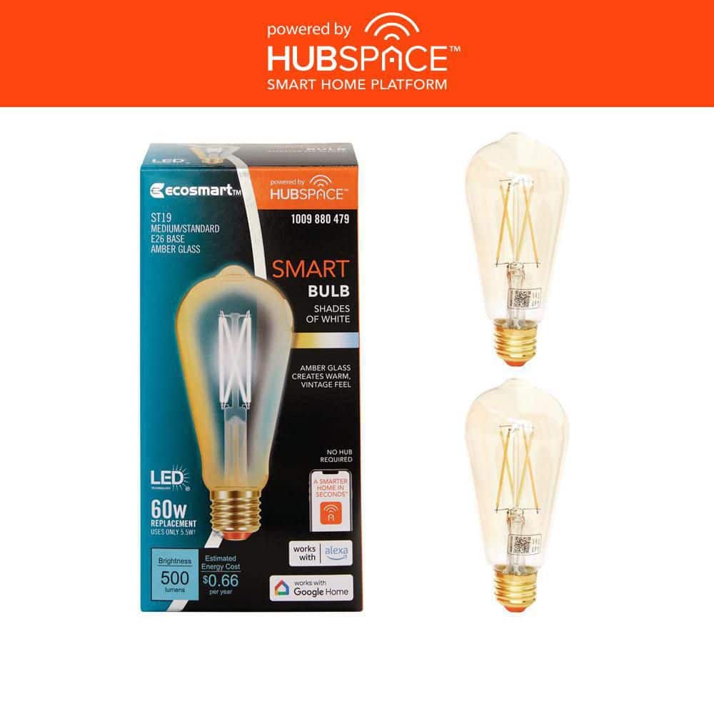 60-Watt Equivalent Smart ST19 Amber Tunable White CEC LED Light Bulb with Voice Control Powered by Hubspace (2-Pack) price history on PriceWatchPro