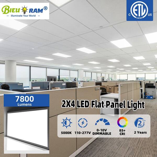 Bieuoram 2 ft. x 4 ft. 7800 Lumens Integrated LED Panel Light, 5000K White Color (4-Pieces)
