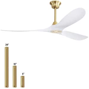 60 in. Indoor/Outdoor Gold Ceiling Fan with Remote Control and 6-Speed DC Motor