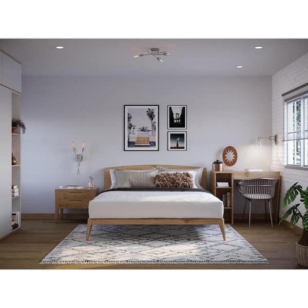 Astra Collection 2-Light Brushed Nickel Sconce