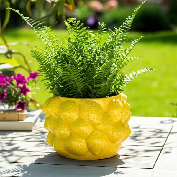 Liv & Skye Yellow Ceramic Round Lemons Flower Decorative Planter