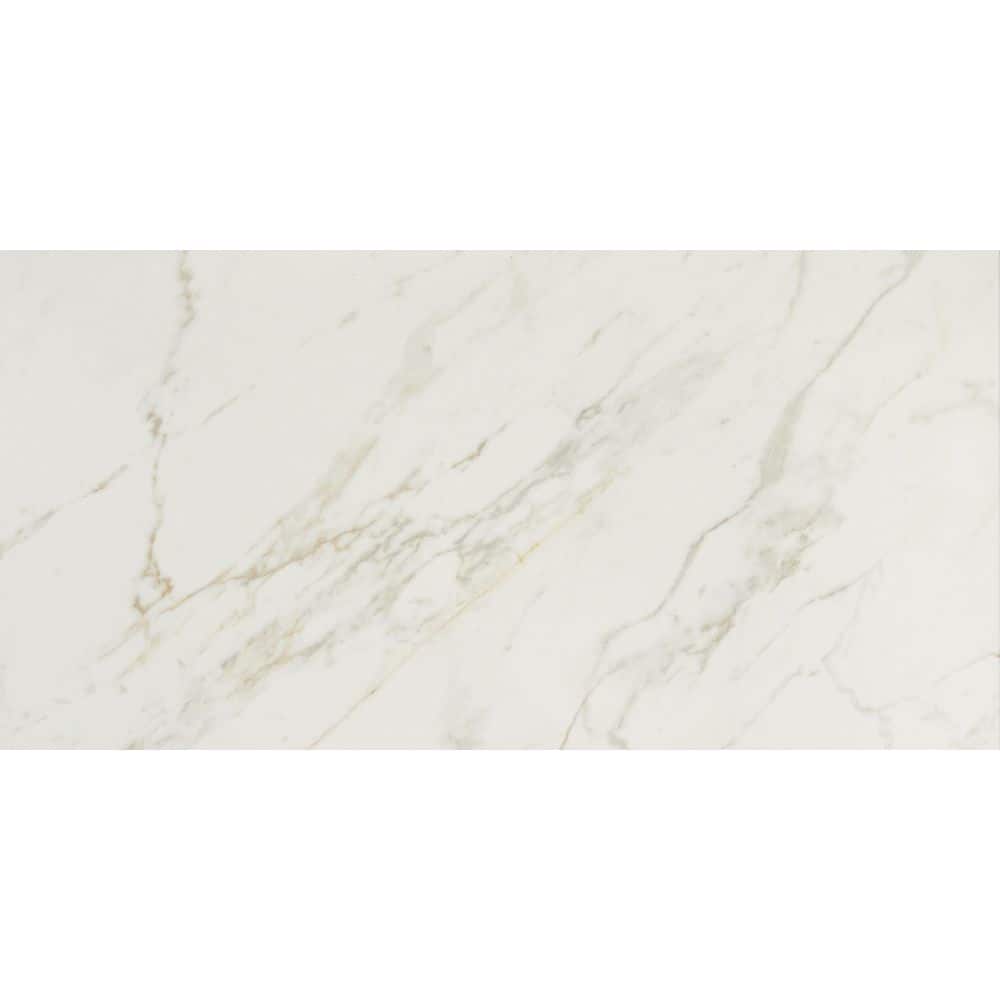 Panoramic Duet Diamond Mine 24 in. x 48 in. Polished Porcelain Floor and Wall Tile (15.42 sq. ft./case) price history on PriceWatchPro