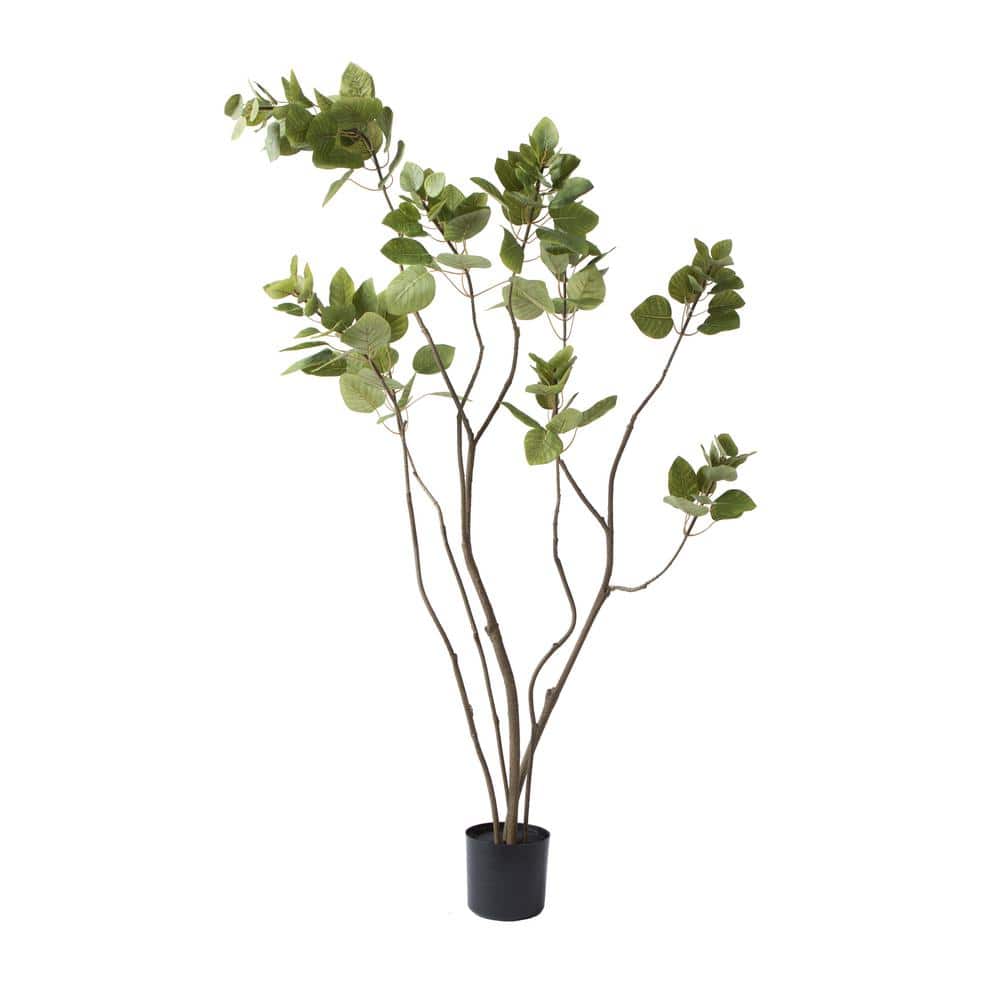 Vickerman 56'' Lifelike Green Potted Cotinus Coggygria Artificial Tree