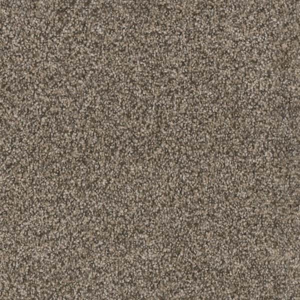 Home Decorators Collection Affectionate I - Sincere - Brown 40 oz. SD Polyester Texture Installed Carpet