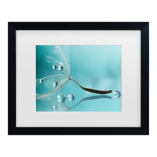 Trademark Fine Art Rina Barbieri Water Matted Framed Photography Wall Art 18 in. x 22 in