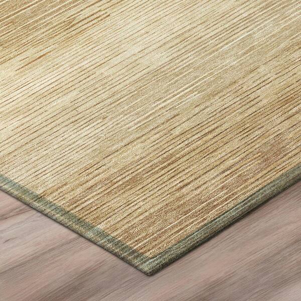 Chantille Machine Washable Indoor/Outdoor Abstract ACN2891 Copper 2 ft. x 3 ft. Accent Rug