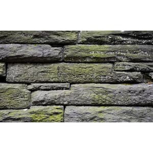 Rock View - Weather Proof Scene for Window Wells or Wall Mural - 120 in. x 60 in