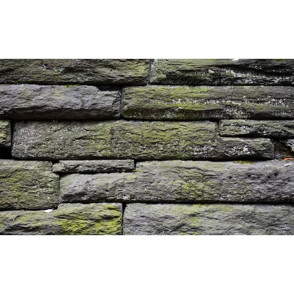 Biggies Rock View - Weather Proof Scene for Window Wells or Wall Mural - 120 in. x 60 in