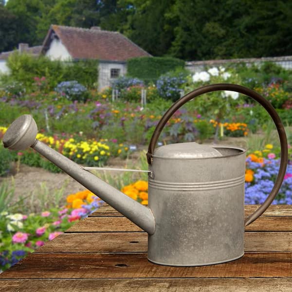 National Tree Company Garden Accents 18 in. Zinc Metal Watering Can