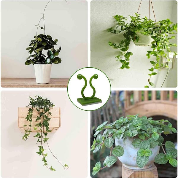 Plant Climbing Wall Clips, Invisible Plant Clips for Climbing Plants,  Adhesive Plant Clips for Potluck (110-Piecses) B08M5JQM22 - The Home Depot