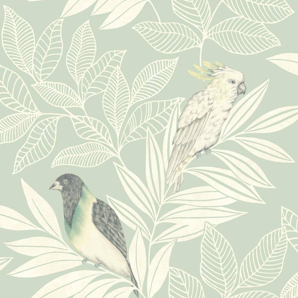 Paint Wallpaper Roller Beautiful Birds Pattern Grain Printing