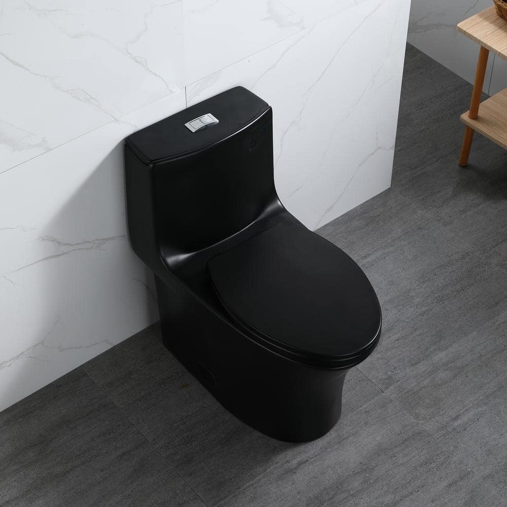 Matte Black Ceramic Dual Flush Elongated Toilet with Soft-Close Seat