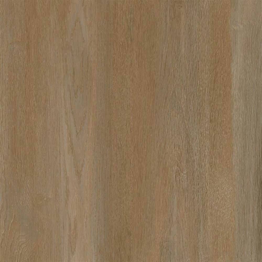 Take Home Sample-Harmony Haus 20 MIL x 9 in. W Honey I'm Home Click Lock Waterproof Luxury Vinyl Plank Flooring price history on PriceWatchPro