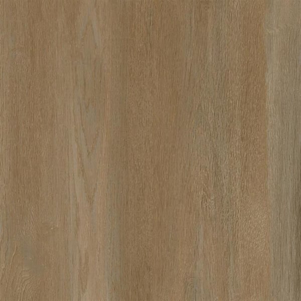 Take Home Sample-Harmony Haus 20 MIL x 9 in. W Honey I'm Home Click Lock Waterproof Luxury Vinyl Plank Flooring
