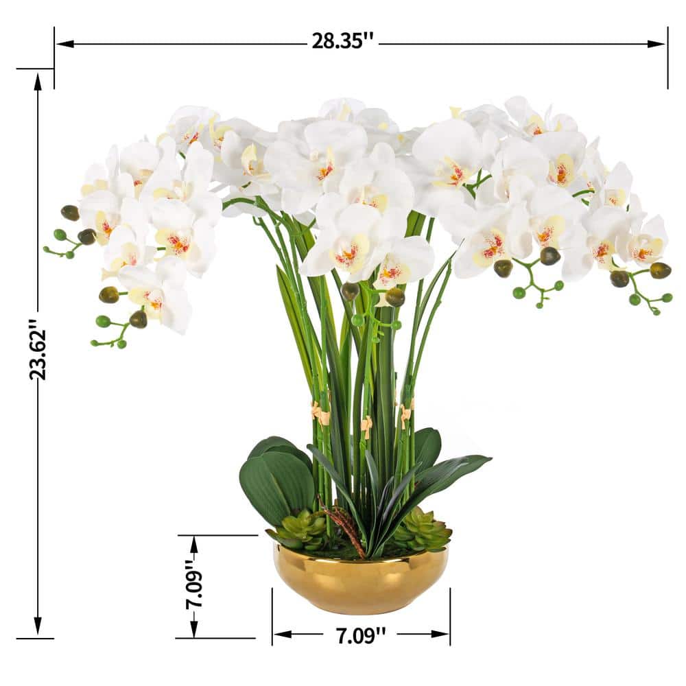 23.62" Tall White and Green Artificial Orchid Arrangement in Gold-Plated Ceramic Vase