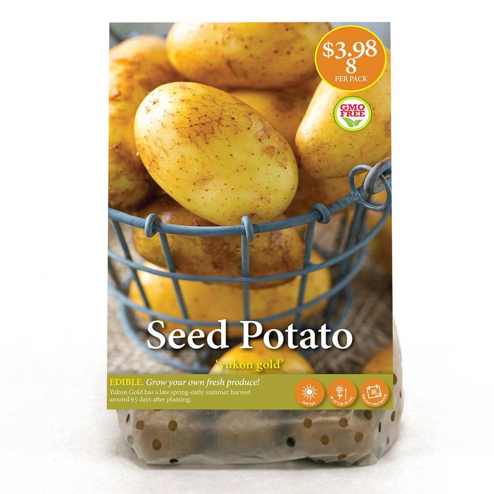 Yukon Gold Seed Potatoes