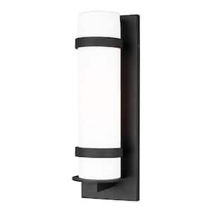 Alban Medium 1-Light Black Outdoor Wall Lantern Sconce With Round Etched Opal Glass Shade