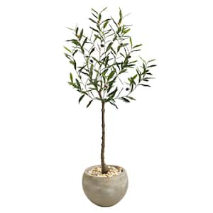 50in. Olive Artificial Tree in Sand Colored Planter